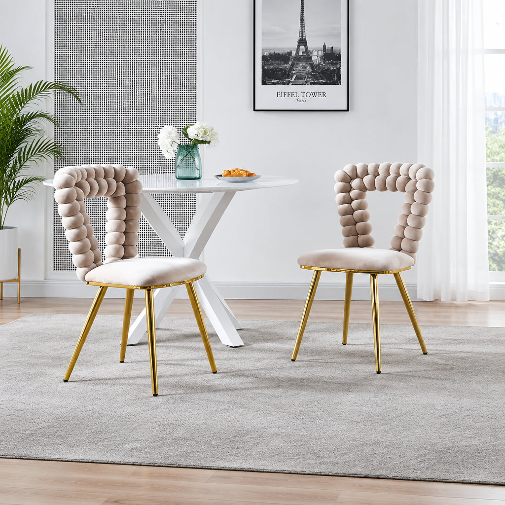 GEITIN Modern Dining Chair with Metal Legs Set of 2