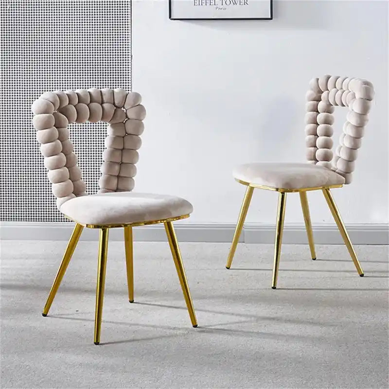 Modern Dining Chair with Metal Legs Set of 2