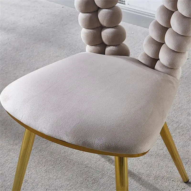 Modern Dining Chair with Metal Legs Set of 2